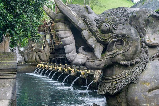 Private Tour: Waterfall, Kintamani Volcano, Ubud Tour with Lunch - The private minivan and driver-guide