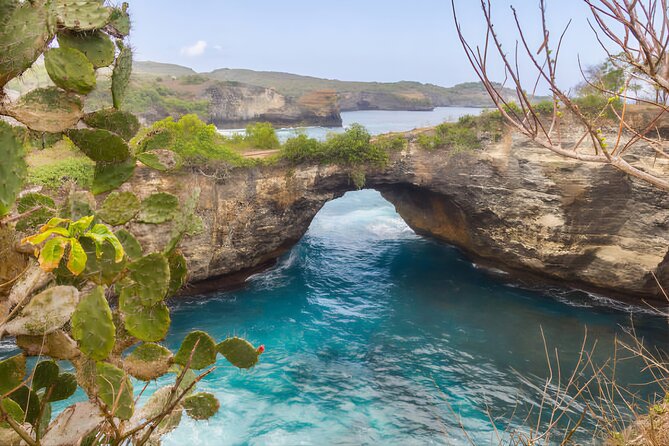 Private Tour West Nusa Penida with T-Rex Beach - The Molateng Treehouse photo stop