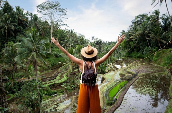 Private Ubud Day Tour Waterfalls Sacred Monkeys and Rice Fields - Reaching Tegenungan Waterfall