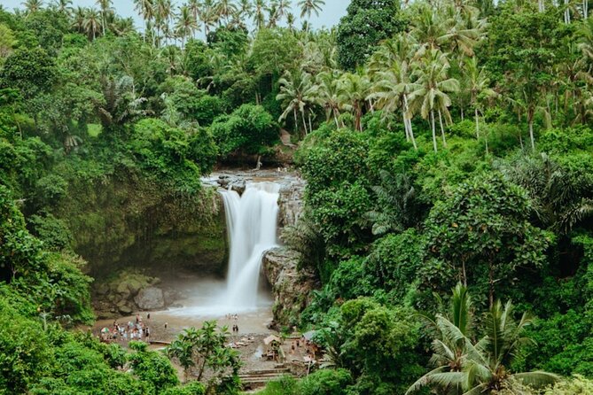 Private Ubud Day Tour Waterfalls Sacred Monkeys and Rice Fields - Meeting macaques in Ubud’s Sacred Monkey Forest