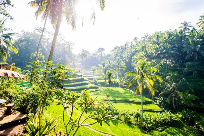Private Ubud Day Tour Waterfalls Sacred Monkeys and Rice Fields - The guide can shape the whole day