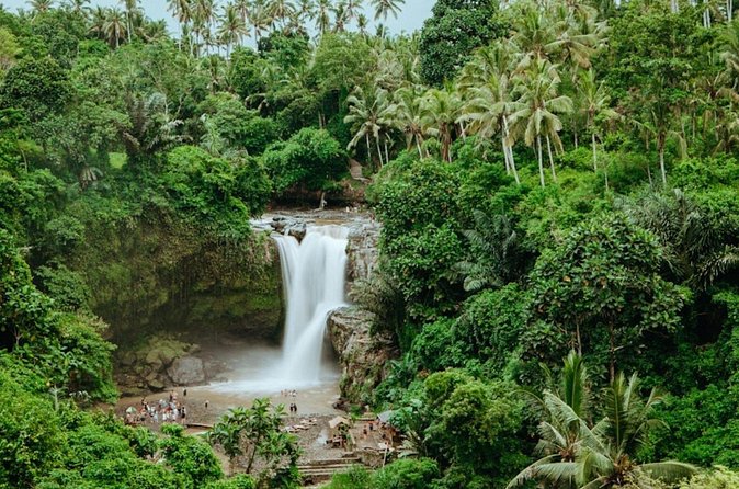 Private Ubud Day Tour Waterfalls Sacred Monkeys and Rice Fields - Timing, transport, and the real value of $27