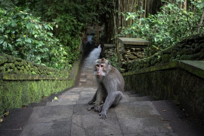 Private Ubud Day Tour Waterfalls Sacred Monkeys and Rice Fields - Watching artisans at the Mas Carving Center