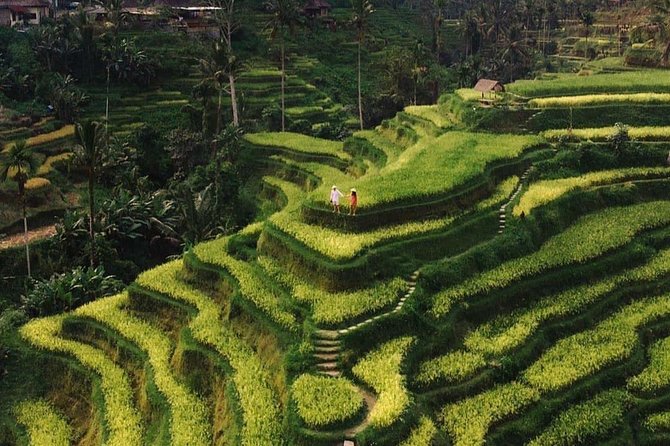 Private UBUD Tour - Key points to know before booking