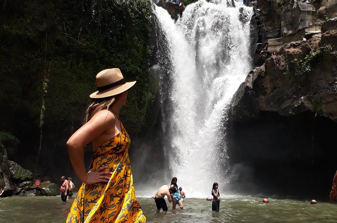 Private Ubud Tour Package - Tegalalang Rice Terrace, Swing, and Nest Photos