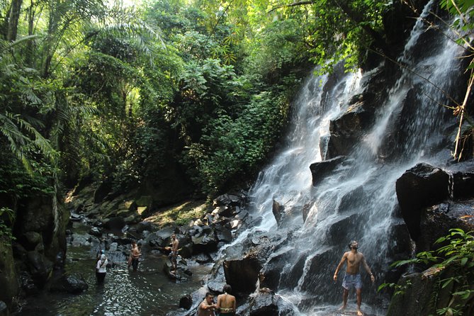 Private Waterfall Tour Feature Tukad Cepung, Tibumana and Kanto Lampo - Tibumana: the best stop for a swim