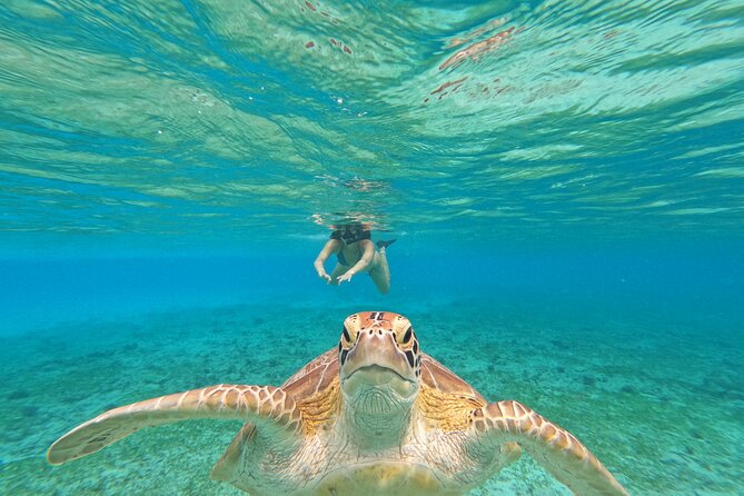 Public Snorkeling 3 Islands - Four things to know before you book