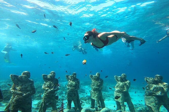 Public Snorkeling 3 Islands - Fish feeding at 12:30