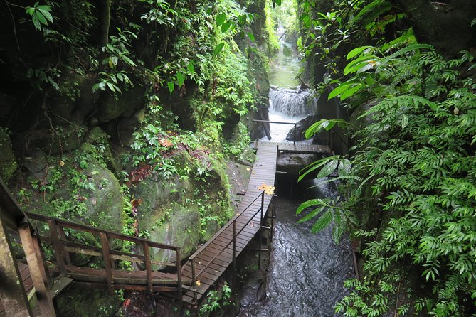 Quad or Buggy Tour with Canyon Tubing Adventure in Bali - Choosing between a quad bike and a buggy