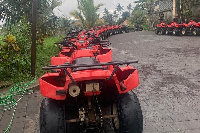 Quadbike Adventure with Tunnel and Waterfall Tour in Bali - Is $34.53 a good price?