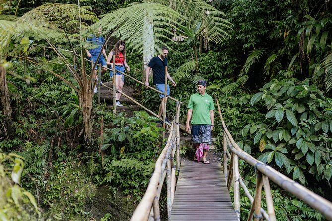 Quick Access: The Bali Instagram Small Group Tour - Tirta Gangga, koi ponds, and royal gardens