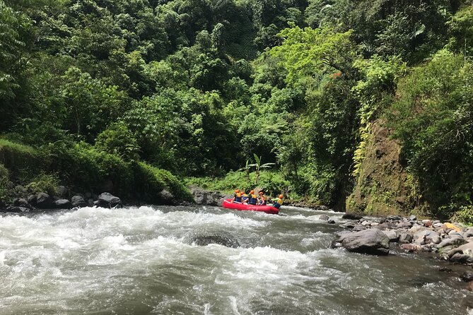 Rafting Adventure 18 km and Balinese Village Life Tour with Lunch - Walking through rice fields and a local family compound