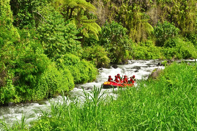 Rafting Adventure 18 km and Balinese Village Life Tour with Lunch - My take on the rafting and village combination