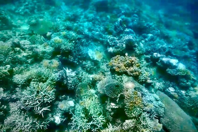 Rangko Cave & Beach Snorkeling Half Day Sharing Trip Labuan Bajo - Is $48 good value?