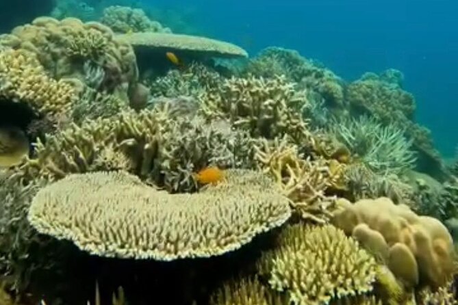 Rangko Cave & Beach Snorkeling Half Day Sharing Trip Labuan Bajo - Practical tips for a better outing