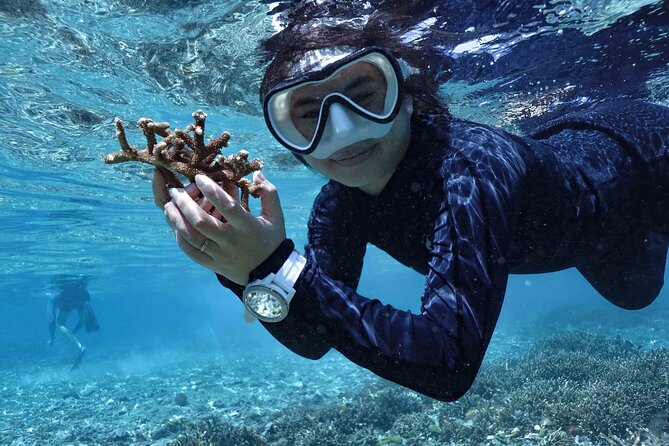 Reef Rehabilitation Course and Snorkeling - Learning how a coral nursery works