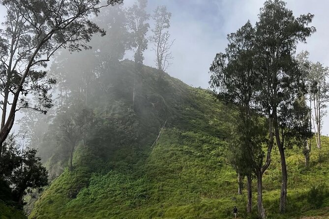 Rinjani Summit 2 days 1 night - What the $200 price really covers