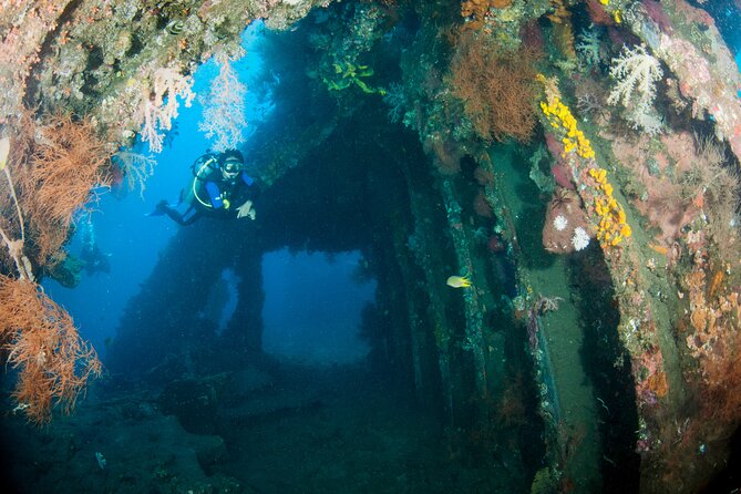 Sanur Open Water Course learn diving in 3 Days - Get certified & Dive everywhere - Safety, equipment, and the right level of effort