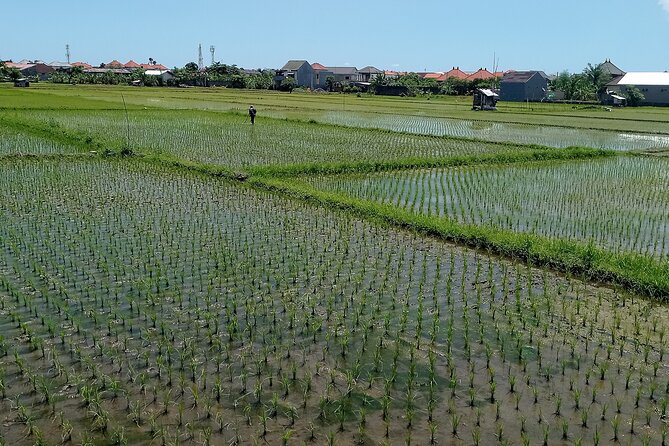 Sanur Village E-bike Tour: Family-Friendly Adventure - Lunch on the beach is a useful finish