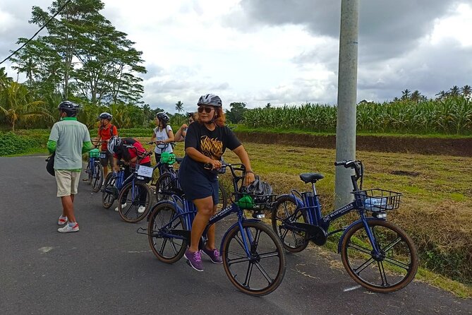 Sanur Village E-bike Tour: Family-Friendly Adventure - Mangroves and rice fields show Sanur’s quieter side