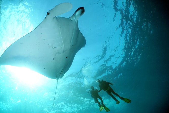 Scuba Diving Nusa Penida Manta Point 3 dives for certified divers - The 45-minute speedboat ride to the islands