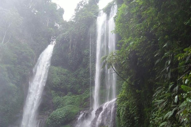Sekumpul waterfall & aling2 waterfall with private service (including activity) - Aling-Aling: The Active Part of the Day