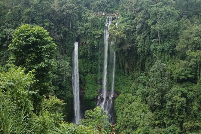 Sekumpul waterfall & aling2 waterfall with private service (including activity) - Sekumpul’s 90-Meter Curtain of Water