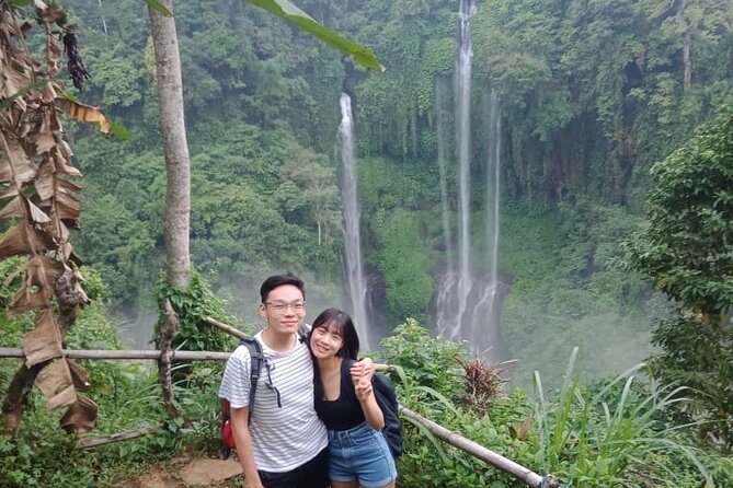 Sekumpul waterfall & aling2 waterfall with private service (including activity) - Who Should Book This Waterfall Day?