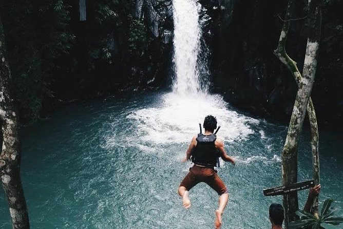 Sekumpul waterfall & aling2 waterfall with private service (including activity) - The Long Run North From Nusa Dua