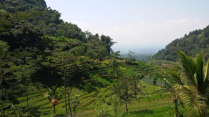 Selogriyo Temple and Trekking Java Rice Terraces, hidden waterfall -Nature Java - Key things to know before you book