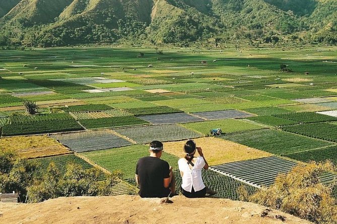Sembalun Package.. (Special Rice Terrace View) - Why Sembalun Makes a Good Mountain Day