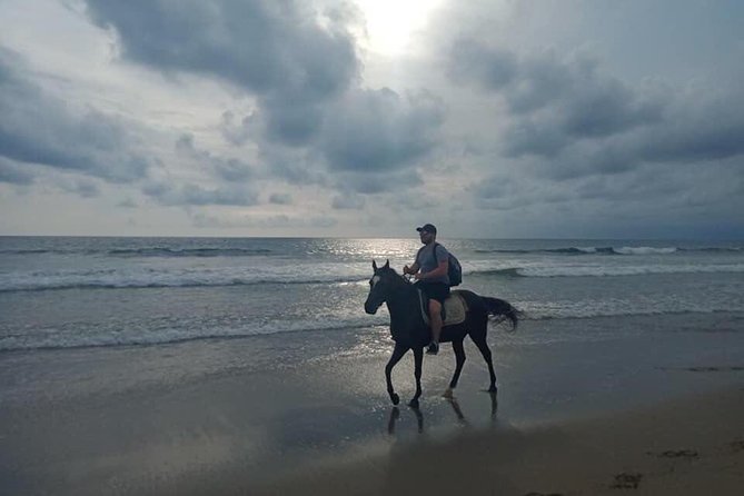 Seminyak Beach Bali Horse Riding - Horses, helmets, and safety details