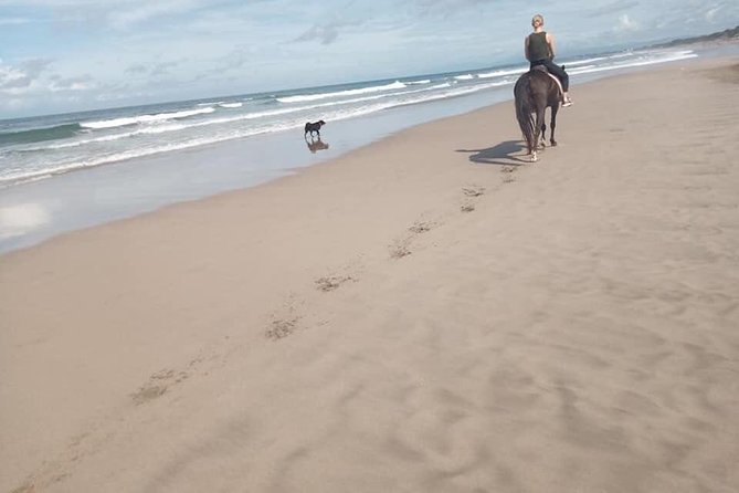 Seminyak Beach Bali Horse Riding - Is $63.95 a fair price?