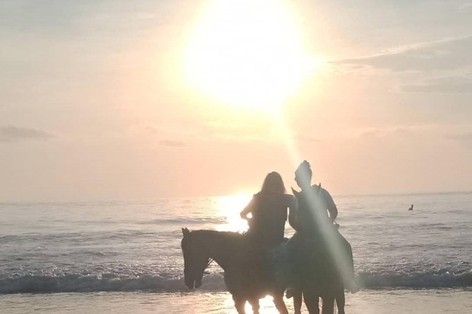 Seminyak Beach Bali Horse Riding - Who should book this experience?
