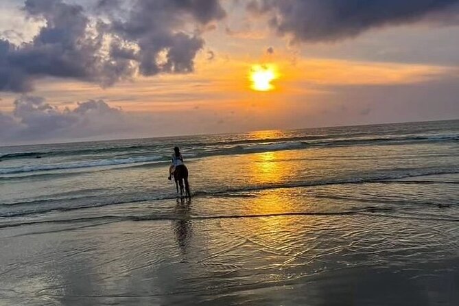 Seminyak Horse back riding In the beach - Starting at Mesari Stables on Jalan Abimanyu