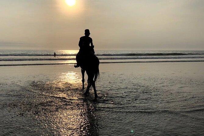 Seminyak Horse back riding In the beach - The honest limitation: horses are living animals