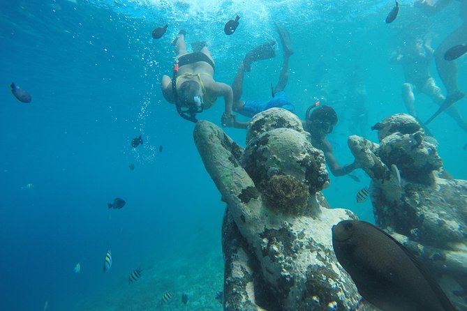 Sharing Snorkeling Trip Gili islands Depart Lombok/Gili Trawangan - Second stop: a 30-minute chance to see turtles