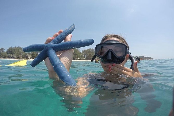 Sharing Snorkeling Trip Gili islands Depart Lombok/Gili Trawangan - A break on Gili Air for food and free time