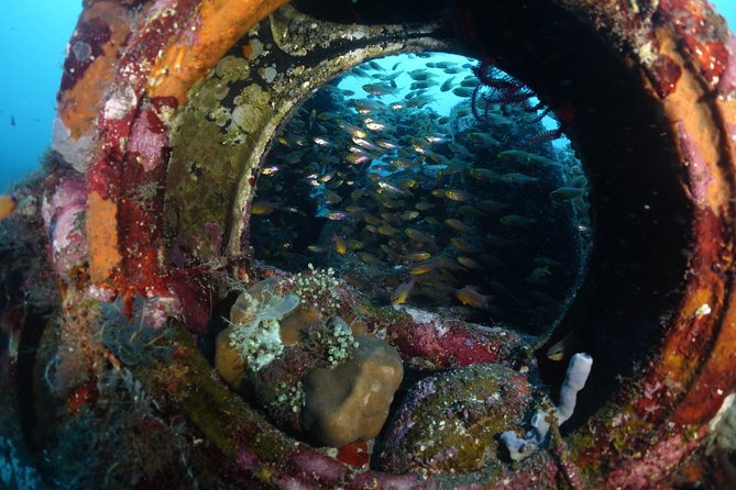 Shipwreck Diving in Tulamben - Key points at a glance