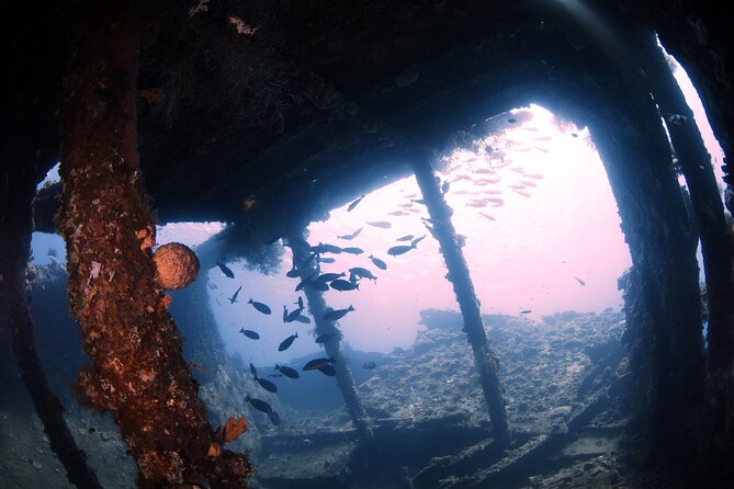 Shipwreck Diving in Tulamben - Why the USAT Liberty makes Tulamben special