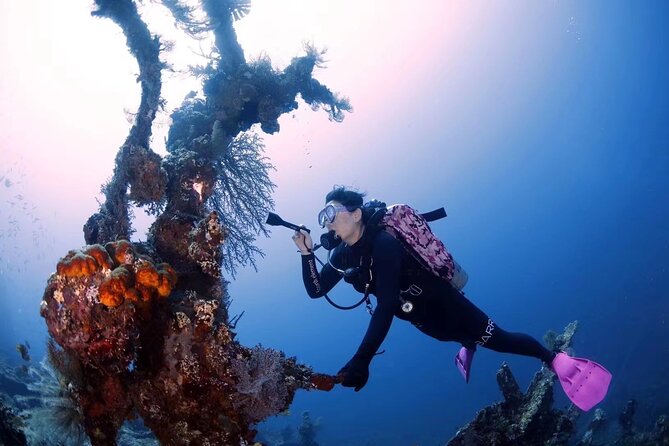 Shipwreck Diving in Tulamben - What happens between the two sessions