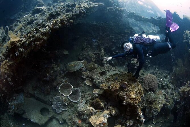 Shipwreck Diving in Tulamben - Lunch, snacks, and the trip home