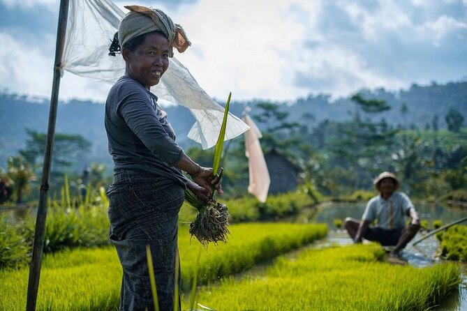 Sidemen Trekking: A Walk from a Different Perspective - Beginning at Pasar Sidemen before the fields