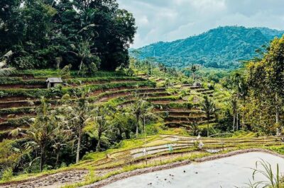 Sidemen Trekking: A Walk from a Different Perspective