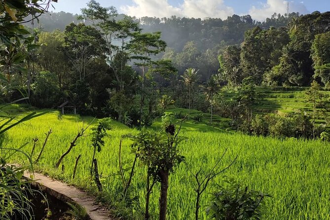 Sidemen Trekking: A Walk from a Different Perspective - Ending at Warung Ume Anyar in Ogang Village