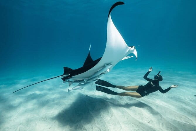 Snorkeling 3 Spots with GoPro & West Coast Tour Nusa Penida - Key points to know before you book