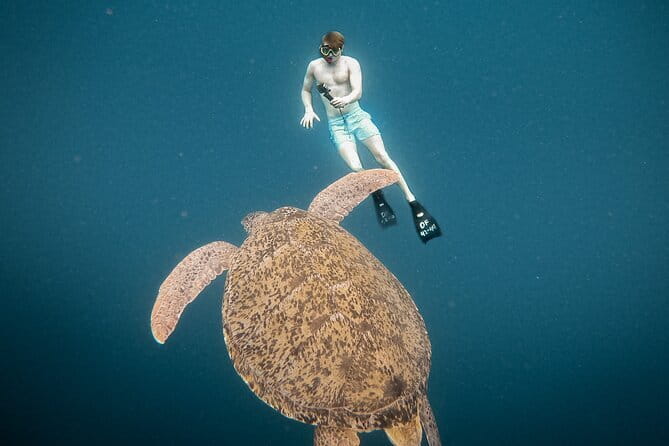 Snorkeling 3 Spots with GoPro & West Coast Tour Nusa Penida - Starting at Toya Pakeh
