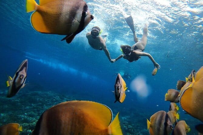 Snorkeling 3 Spots with GoPro & West Coast Tour Nusa Penida - The missing third snorkeling spot