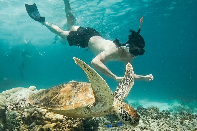Snorkeling 3 Spots with GoPro & West Coast Tour Nusa Penida - Manta Bay and the reality of sea conditions
