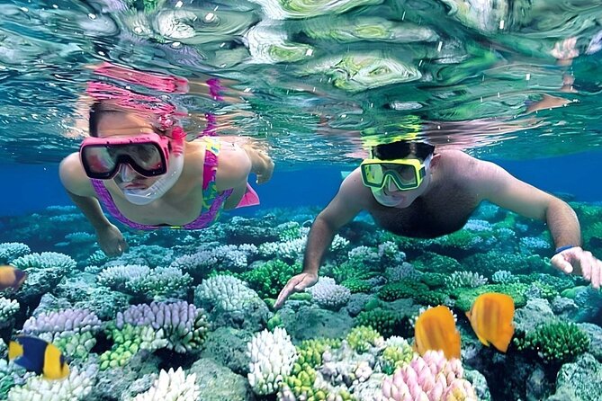 Snorkeling 4 Spot With Manta Bay Or Optional Land Trip - Starting at Dermaga Banjar Nyuh